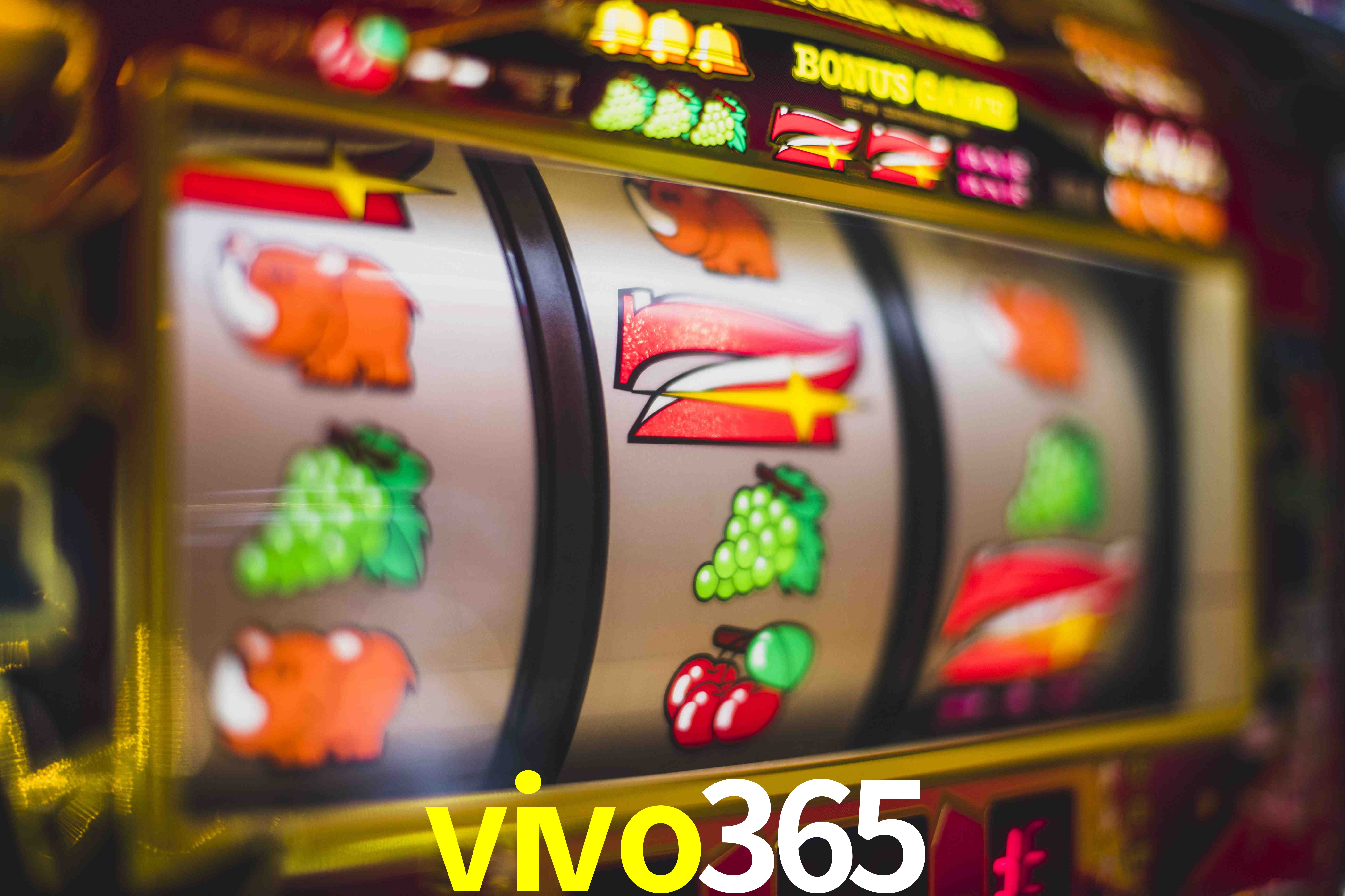 Crash Games Statistics vivo365